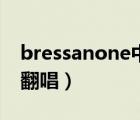 bressanone中文版歌曲（bressanone中文翻唱）