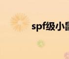spf级小鼠是什么意思（spf级）