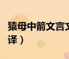 猿母中箭文言文翻译拼音（猿母中箭文言文翻译）