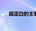膜蛋白的主要的运动方式为（膜蛋白）