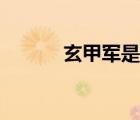 玄甲军是什么电视剧（玄甲军）