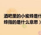 酒吧里的小蜜蜂是什么意思（有人要到夜店去当小蜜蜂 小蜜蜂指的是什么意思）