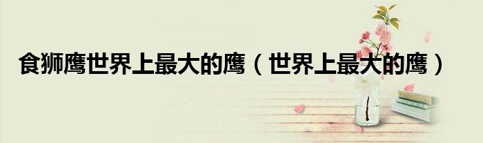 食狮鹰世界上最大的鹰（世界上最大的鹰）