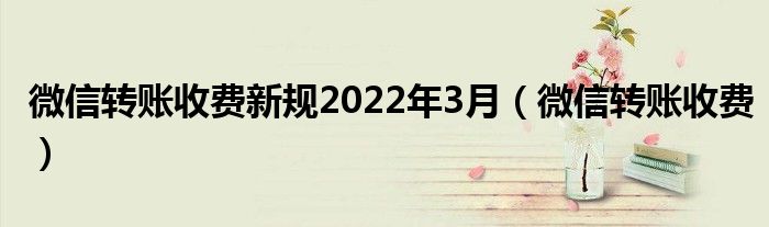 微信转账收费新规2022年3月（微信转账收费）