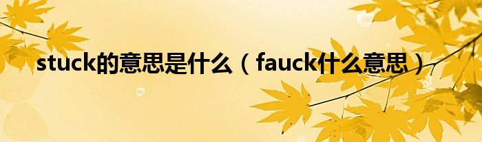 stuck的意思是什么（fauck什么意思）