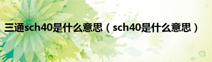 三通sch40是什么意思（sch40是什么意思）