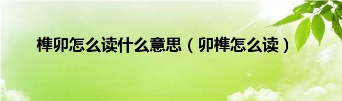 榫卯怎么读什么意思（卯榫怎么读）