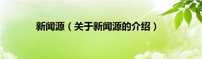 新闻源（关于新闻源的介绍）