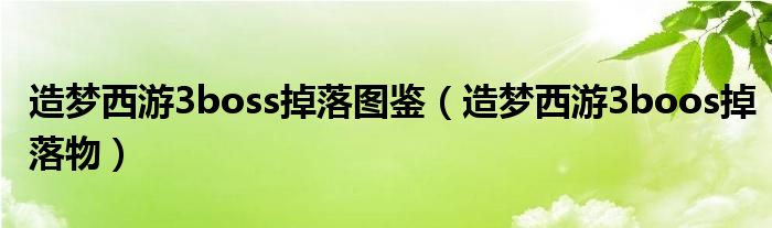 造梦西游3boss掉落图鉴（造梦西游3boos掉落物）
