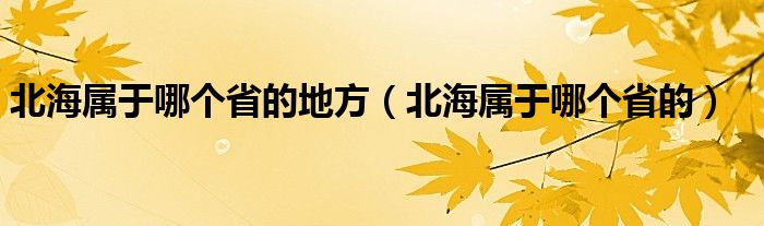 北海属于哪个省的地方（北海属于哪个省的）