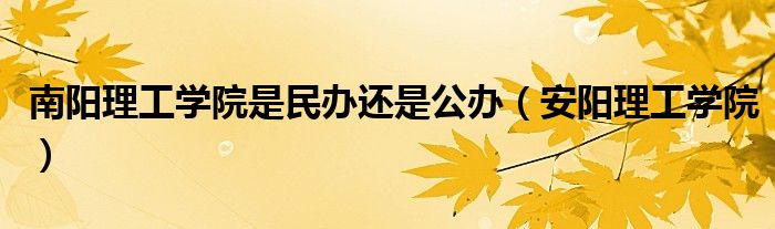 南阳理工学院是民办还是公办（安阳理工学院）