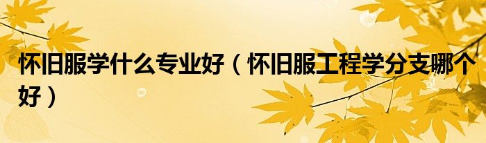 怀旧服学什么专业好（怀旧服工程学分支哪个好）