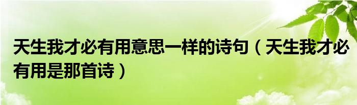 天生我才必有用意思一样的诗句（天生我才必有用是那首诗）