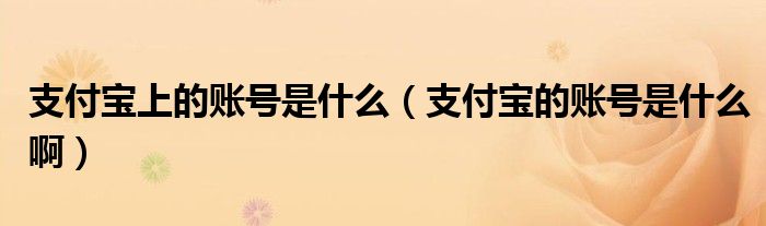 支付宝上的账号是什么（支付宝的账号是什么啊）