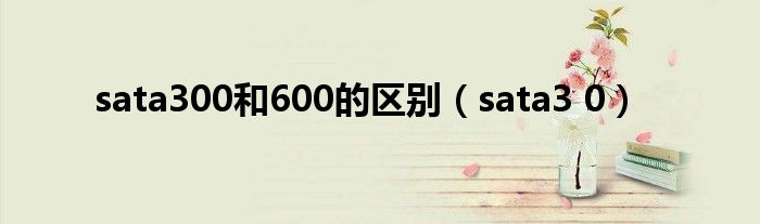 sata300和600的区别（sata3 0）