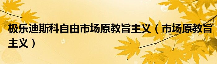 极乐迪斯科自由市场原教旨主义（市场原教旨主义）