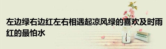 左边绿右边红左右相遇起凉风绿的喜欢及时雨红的最怕水