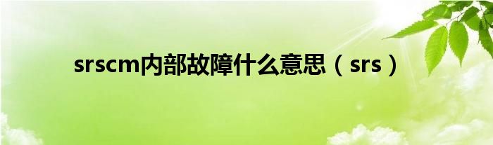 srscm内部故障什么意思（srs）