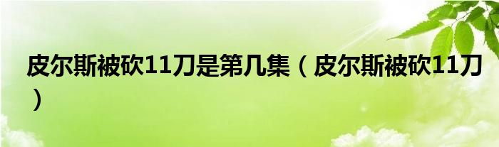皮尔斯被砍11刀是第几集（皮尔斯被砍11刀）