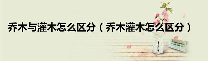 乔木与灌木怎么区分（乔木灌木怎么区分）