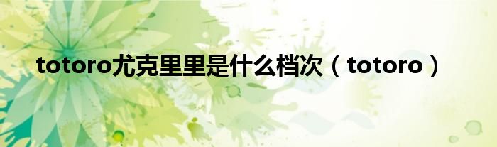 totoro尤克里里是什么档次（totoro）