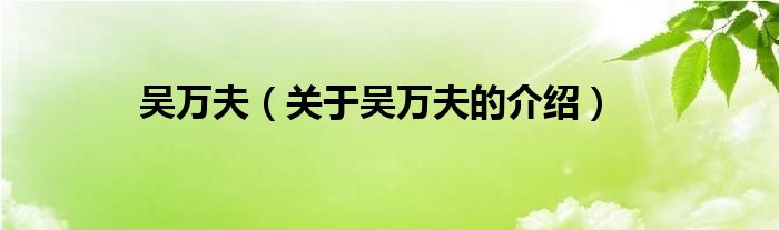 吴万夫（关于吴万夫的介绍）