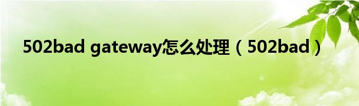 502bad gateway怎么处理（502bad）