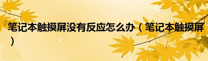 笔记本触摸屏没有反应怎么办（笔记本触摸屏）
