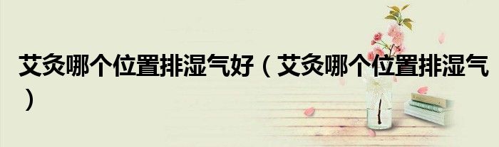艾灸哪个位置排湿气好（艾灸哪个位置排湿气）