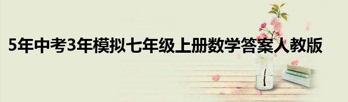 5年中考3年模拟七年级上册数学答案人教版
