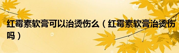 红霉素软膏可以治烫伤么（红霉素软膏治烫伤吗）