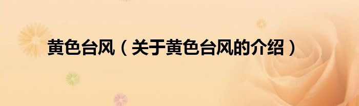 黄色台风（关于黄色台风的介绍）