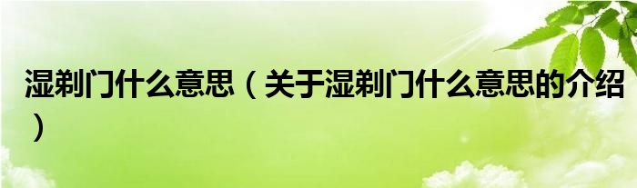 湿剃门什么意思（关于湿剃门什么意思的介绍）