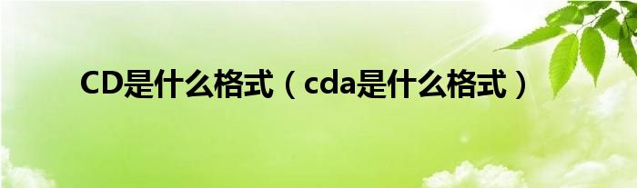 CD是什么格式（cda是什么格式）