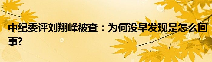 中纪委评刘翔峰被查：为何没早发现是怎么回事?