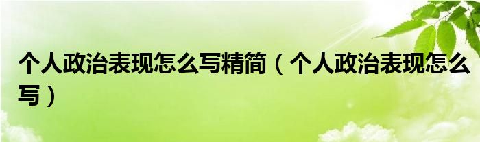 个人政治表现怎么写精简（个人政治表现怎么写）
