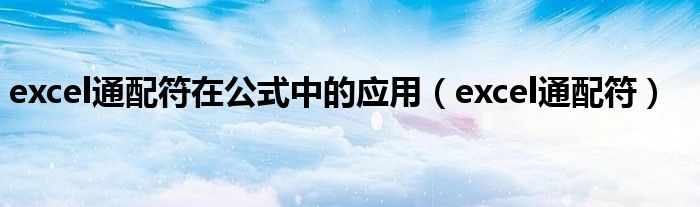 excel通配符在公式中的应用（excel通配符）