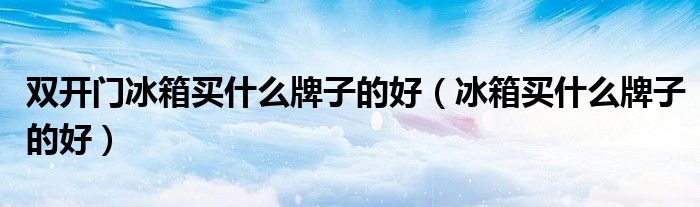 双开门冰箱买什么牌子的好（冰箱买什么牌子的好）