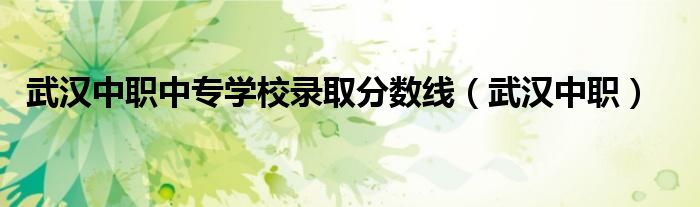 武汉中职中专学校录取分数线（武汉中职）