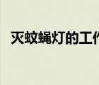 灭蚊蝇灯的工作原理（灭蚊灯的工作原理）
