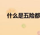 什么是五险都包括些啥呢（什么是五险）