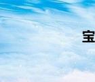宝蟾是谁（宝蟾）
