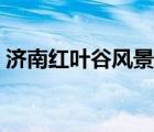济南红叶谷风景区介绍（济南红叶谷风景区）