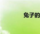 兔子的特点（兔子的资料）