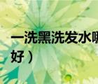 一洗黑洗发水哪个牌子好（一洗黑洗发水哪个好）