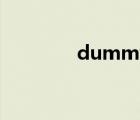 dummy怎么读（dummy）