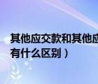 其他应交款和其他应付款一样吗（其他应交款和其他应付款有什么区别）
