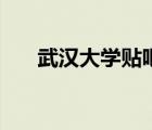 武汉大学贴吧宋海超（武汉大学贴吧）