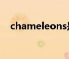 chameleons是什么意思（chameleon）