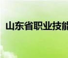 山东省职业技能鉴定中心证书查询系统电话